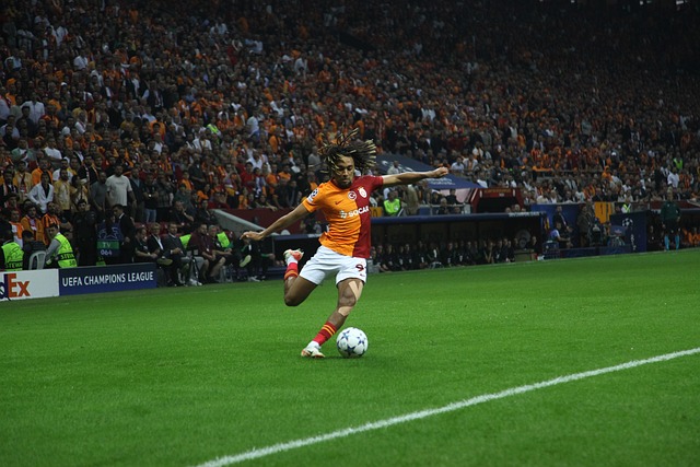 出了重要努 出了重要努