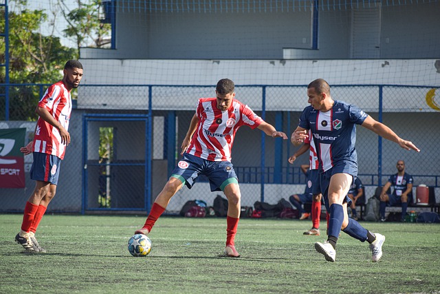 的行为完全 的行为完全