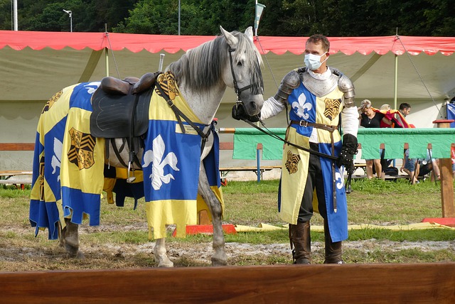 辽篮的青训 辽篮的青训