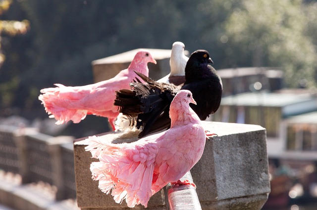 來創新和動 來創新和動